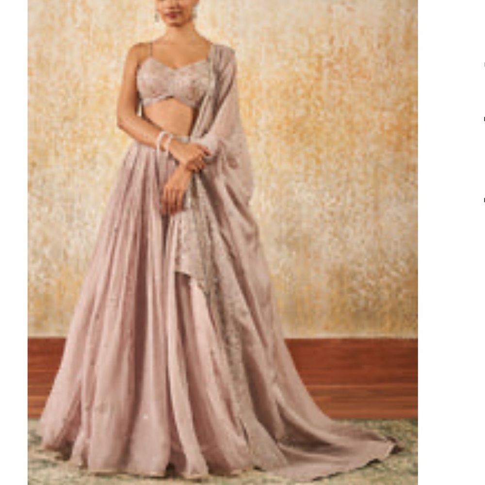 BRAND NEW IN BOX Exquisite Mauve Lehenga for Women